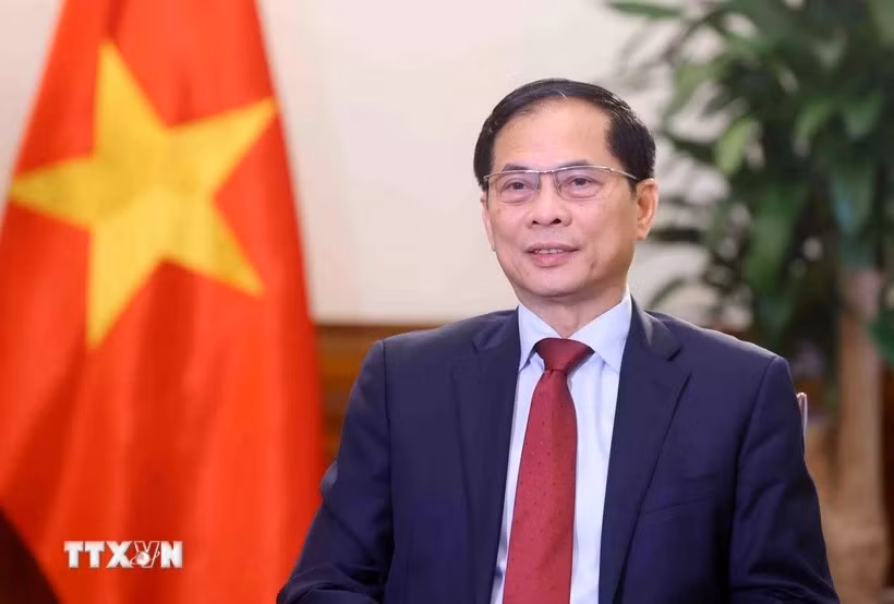 pho-thu-tuong-bo-truong-ngoai-giao-bui-thanh-son-1.jpg