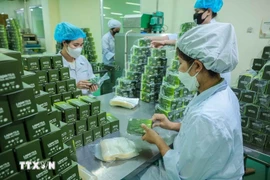 Производство продуктов на основе трав на фармацевтическом предприятии Lam Dong Pharmaceutical JSC. (Фото: ВИA)