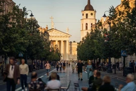Содействие традиционной дружбе и многогранному сотрудничеству между Вьетнамом и Литвой