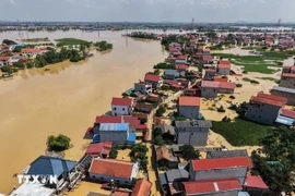 Наводнение, вызванное тайфуном «Матмо», нанесло ущерб на сумму свыше 8,72 трлн донгов; более 12 230 жилых домов остаются подтопленными. (Фото: ВИА)