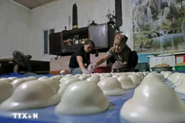 Рисовые лепешки «бань-зай» после наполнения начинкой. Фото: Чан Вьет/ВИА