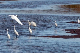 Национальный парк Суантхюи - парк наследия АСЕАН