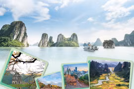 Ведущие направления Вьетнама получили награду Tripadvisor 2025 Awards