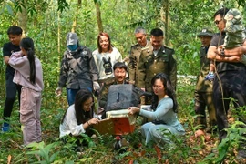 Диких животных выпускают обратно в естественную среду обитания. Фото: предоставлено Департаментом лесного хозяйства и охраны лесов. 