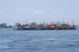 Иллюстративное изображение. Фото: ВИА 