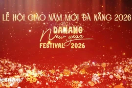 Дананг готовится принять фестиваль Da Nang New Year Festival 2026. (Фото: VietnamPlus)