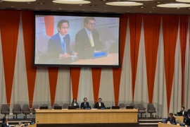 Постоянный представитель Вьетнама при Организации Объединённых Наций, посол До Хунг Вьет, выступает на первом неформальном заседании с государствами-участниками Договора о нераспространении ядерного оружия в преддверии 11-й обзорной конференции. (Фото: ВИА)
