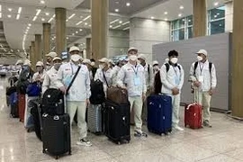 Япония по-прежнему остается ведущим рынком с почти 30 000 вьетнамских рабочих