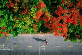 В преддверии праздников по случаю Дня воссоединения страны 30 апреля и Первомая вьетнамские туристы все чаще выбирают зарубежные поездки на близкие расстояния и нестандартные форматы отдыха. Иллюстративное фото: ВИА. 