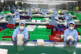 Рабочие сортировали рисовую бумагу на предприятии Tan Nhien Co. Ltd. в провинции Тайнинь. (Фото: ВИA)