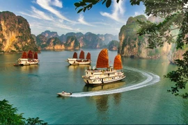 Вьетнам в прошлом году зафиксировал рост числа туристов на 22 % и, похоже, не собирается замедлять этот рост (Фото: telegraph.co.uk). 