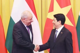 Президент государства Лыонг Кыонг (справа) приветствует президента Венгрии Тамаша Шуйока в Ханое 28 мая. (Фото: ВИA)