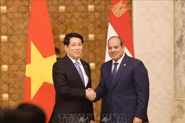 Президент страны Лыонг Кыонг (слева) и президент Египта Абдель Фаттах Ас-Сиси. (Фото: ВИA)