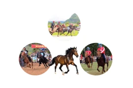 Некоторые традиционные фестивали и конные скачки во Вьетнаме