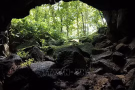 Вход в систему вулканических пещер в Донгнае (Фото: ВИA)