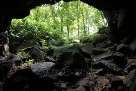 Вход в систему вулканических пещер в Донгнае (Фото: ВИA)