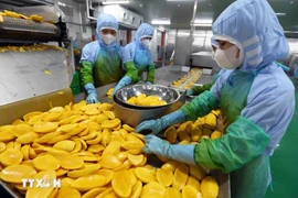 Переработка сельскохозяйственной продукции на экспорт (Фото: ВИA)