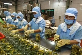 Рабочие обрабатывают сельскохозяйственную продукцию для экспорта. (Фото: ВИA)