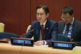 Посол До Хунг Вьет, постоянный представитель Вьетнама при ООН, выступает на дебатах о мире в Африке. (Фото: ВИA)