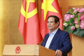 Премьер-министр Фам Минь Тьинь председательствует на рабочем заседании с Исследовательского совета по развитию частного сектора (Совет IV) в Ханое 10 числа (Фото: ВИA)