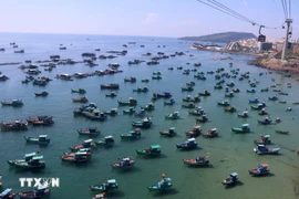 Свыше 28 000 рыболовных судов по всей стране оснащены системой мониторинга промысловых судов (VMS), что составляет более 99% от числа судов, для которых установка является обязательной. (Фото: VietnamPlus) 