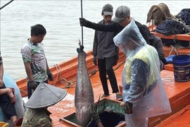 Иллюстративное изображение. (Фото: ВИА) 