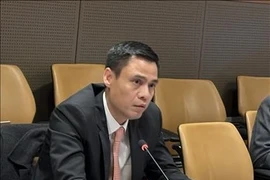 Заместитель министра иностранных дел Данг Хоанг Зянг. (Фото: ВИА) 