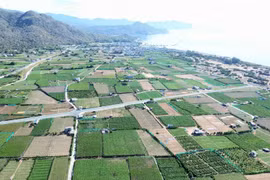 Проект строительства атомной электростанции «Ниньтхуан 2» займет 643 гектара в деревне Тхайань, община Виньхай, уезд Ниньхай. (Фото: ВИA)