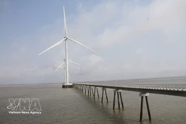 Ветряные электростанции в провинции Камау работают с совокупной мощностью более 1 610 МВт. (Фото: ВИА) 