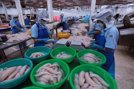Переработка рыбных продуктов для экспорта на вьетнамском предприятии. (Фото: VietnamPlus)