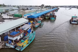 Оживленное движение в рыболовном порту Таккау провинции Анзянг: рыболовные суда заходят в порт и выходят из него. (Фото: ВИА) 