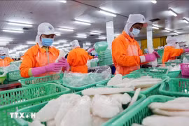 Переработка рыбной продукции для экспорта. (Фото: ВИА)
