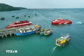 Куангнинь вновь подтвердил свою приверженность решительным действиям против ННН-промысла, внося вклад в национальную цель Вьетнама — снятие «жёлтой карточки» Европейской комиссии. (Фото: ВИА)