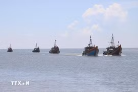 Нгеан активизирует меры по устранению «жёлтой карточки» ЕС