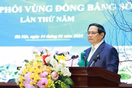 Премьер-министр Фам Минь Тьинь выступает на пятом заседании Координационного совета по региону дельты Красной реки в Ханое 14 января (Фото: ВИA)