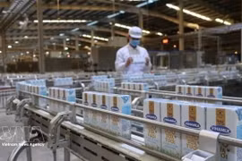Производственная линия молочной продукции компании Vinamilk. (Фото: ВИА) 