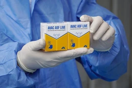Вакцина против африканской чумы свиней AVAC ASF LIVE (Фото: AVAC)