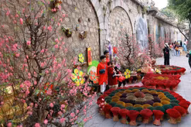 Вьетнам встречает Тэт (традиционный Новый год по лунному календарю) (Фото: ВИA)