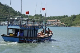 Провинция Жалай сосредоточила усилия на управлении рыболовным флотом, а также на предотвращении и наказании судов и рыбаков, нарушающих иностранные водные границы. (Иллюстративное фото: ВИА)