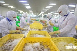 Вьетнам заработал 1,1 млрд долларов США на экспорте креветок в Китай