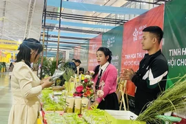 Зелёные хлопья риса и молоко привлекают посетителей (Фото: ВИА)