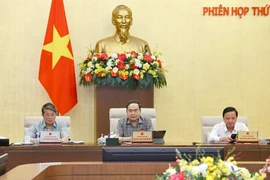 Председатель НС Чан Тхань Ман выступает на 48-м заседании Постоянного комитета НС. (Фото: ВИA)