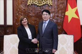 Президент государства Лыонг Кыонг (справа) и покидающий свой пост посол Египта Амаль Абдель Кадер Эльморси Салама в Ханое 1 июля (Фото: ВИA)