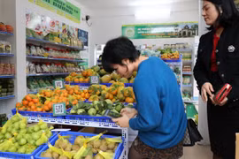 Индекс потребительских цен в июне вырос на 0,48% по сравнению с предыдущим месяцем. (Иллюстративное фото: ВИA)