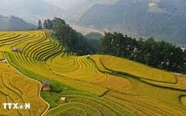 Британская газета назвала 6 мест во Вьетнаме, которые стоит посетить