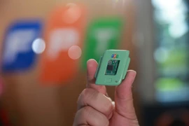 Полупроводниковый чип FPT. (Фото: ВИА)