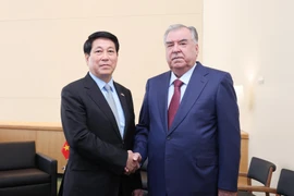 Президент государства Лыонг Кыонг (слева) встречается с Президентом Таджикистана Эмомали Рахмоном. (Фото: ВИА)