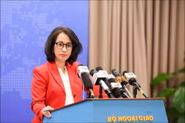 Официальный представитель Министерства иностранных дел Вьетнама Фам Тху Ханг. (Фото: ВИА) 