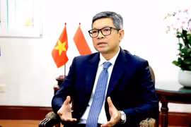 Посол Индонезии во Вьетнаме Денни Абди во время интервью (Фото: ВИA)