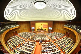 Общий вид конференции. (Фото: ВИА) 